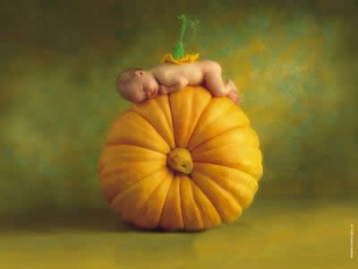 ��һ�⣬���Ƿ���Ҫ